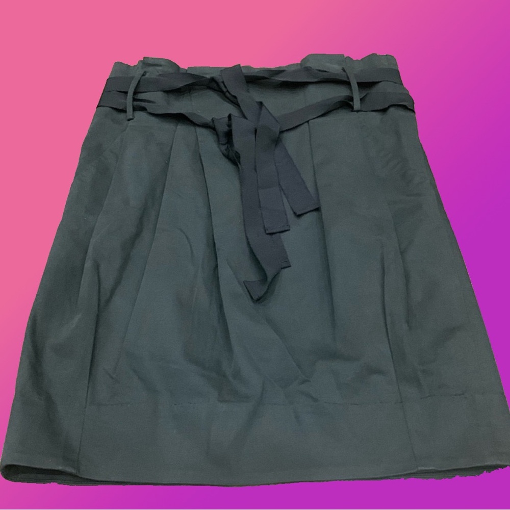 Aritzia Wilfred Cotton Skirt